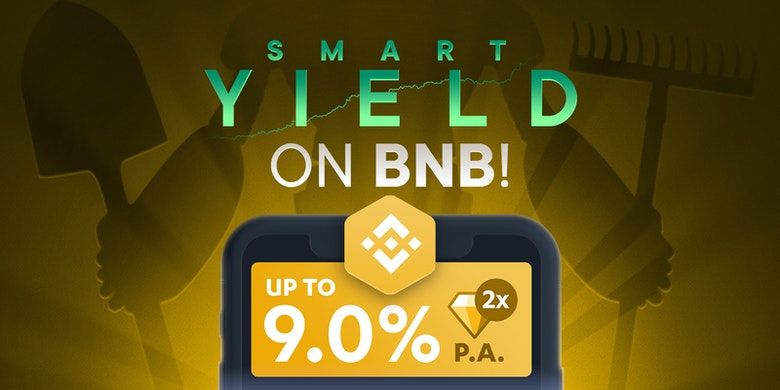 Smart-Yield-Wallet BNB
